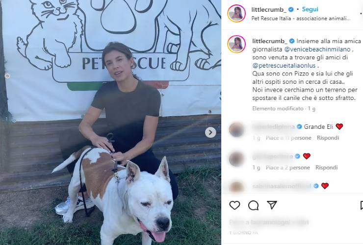 Elisabetta Canales e sua mensagem de vídeo Solospettacolo.it