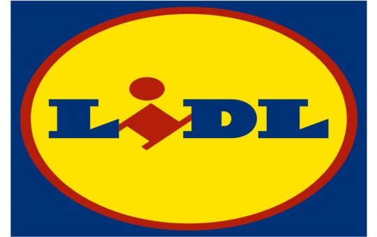 offerta lidl friggitrice-Solospettacolo