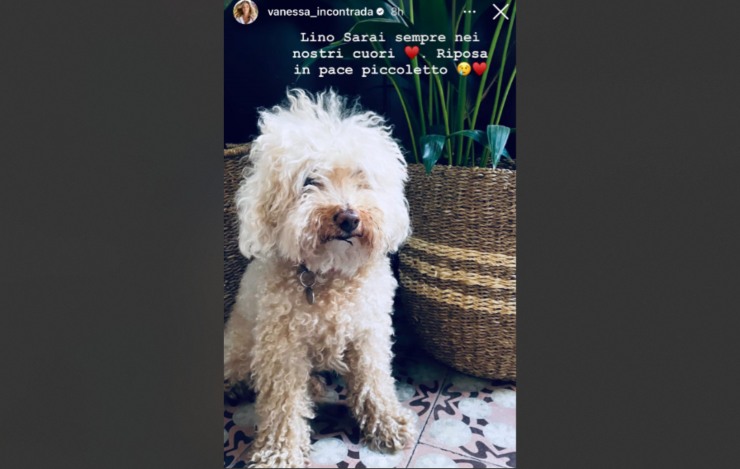 Vanessa Incontrada screenshot Instagram - solospettacolo.it