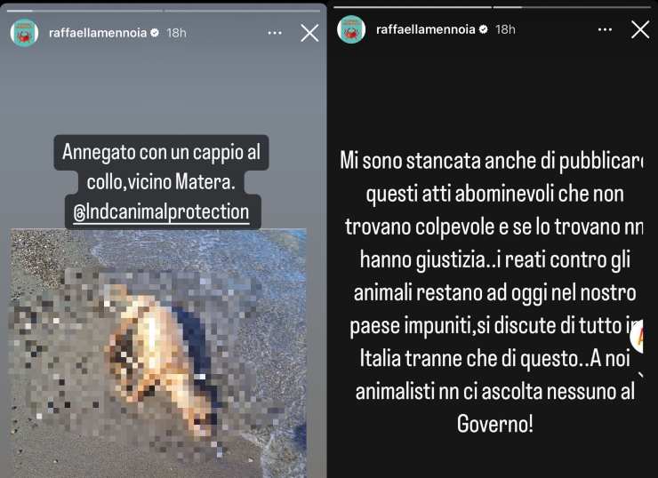 mennoia post denuncia-Solospettacolo