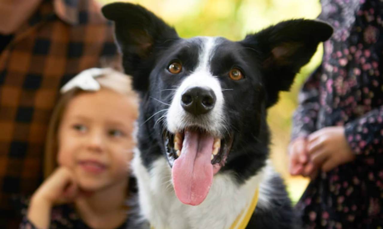 cane in famiglia - solospettacolo.it