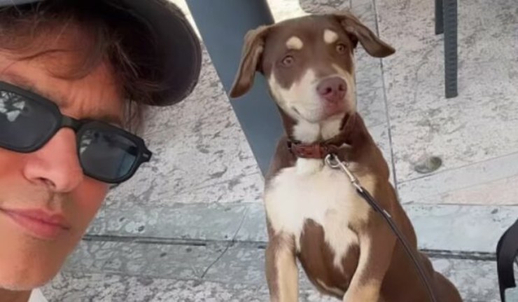 Gabriel Garko ed il cucciolo salvato - SoloSpettacolo.it