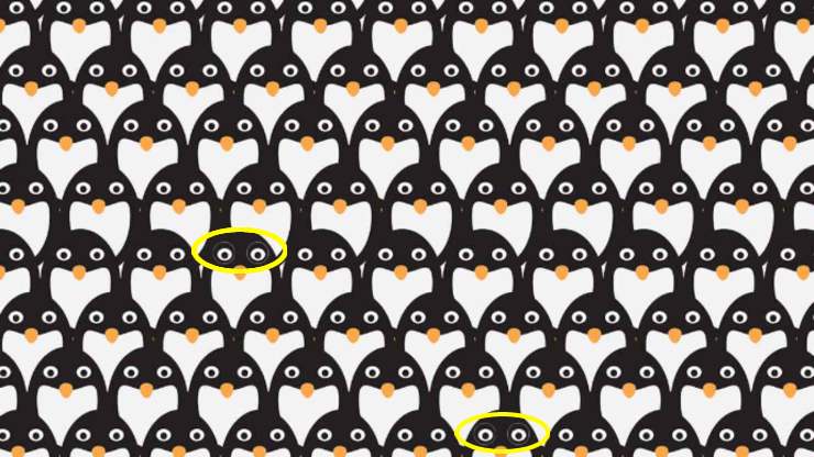 Test visivo dei pinguini - SoloSpettacolo.it 
