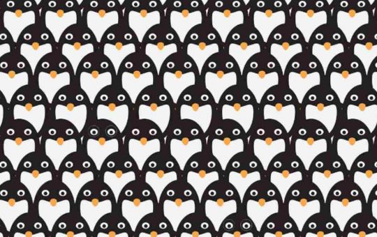 Test visivo dei pinguini - SoloSpettacolo.it