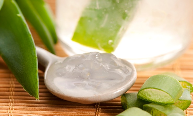 Gel di aloe vera - SoloSpettacolo.it