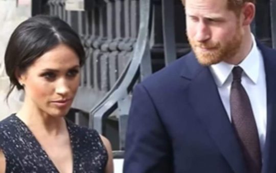 harry e meghan le polemiche